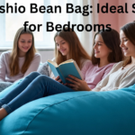 The Koshio Bean Bag: Ideal Seating for Bedrooms